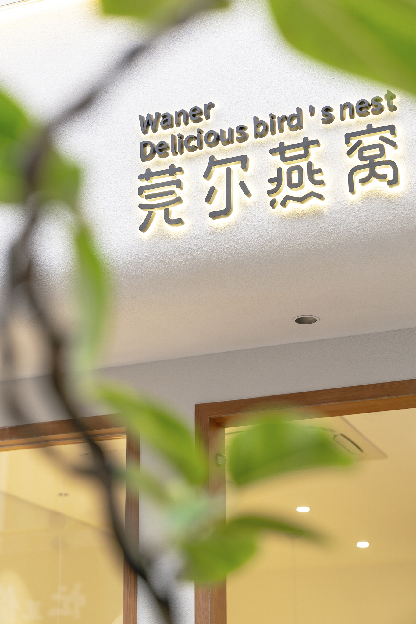 莞尔燕窝 第 2 页