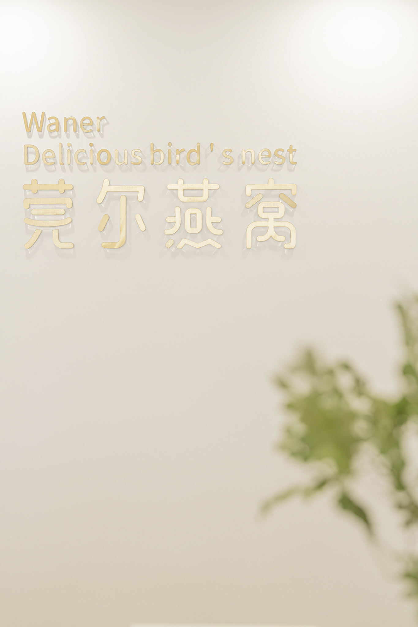 莞尔燕窝 第 17 页